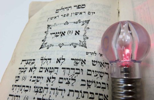 ספר תהילים2